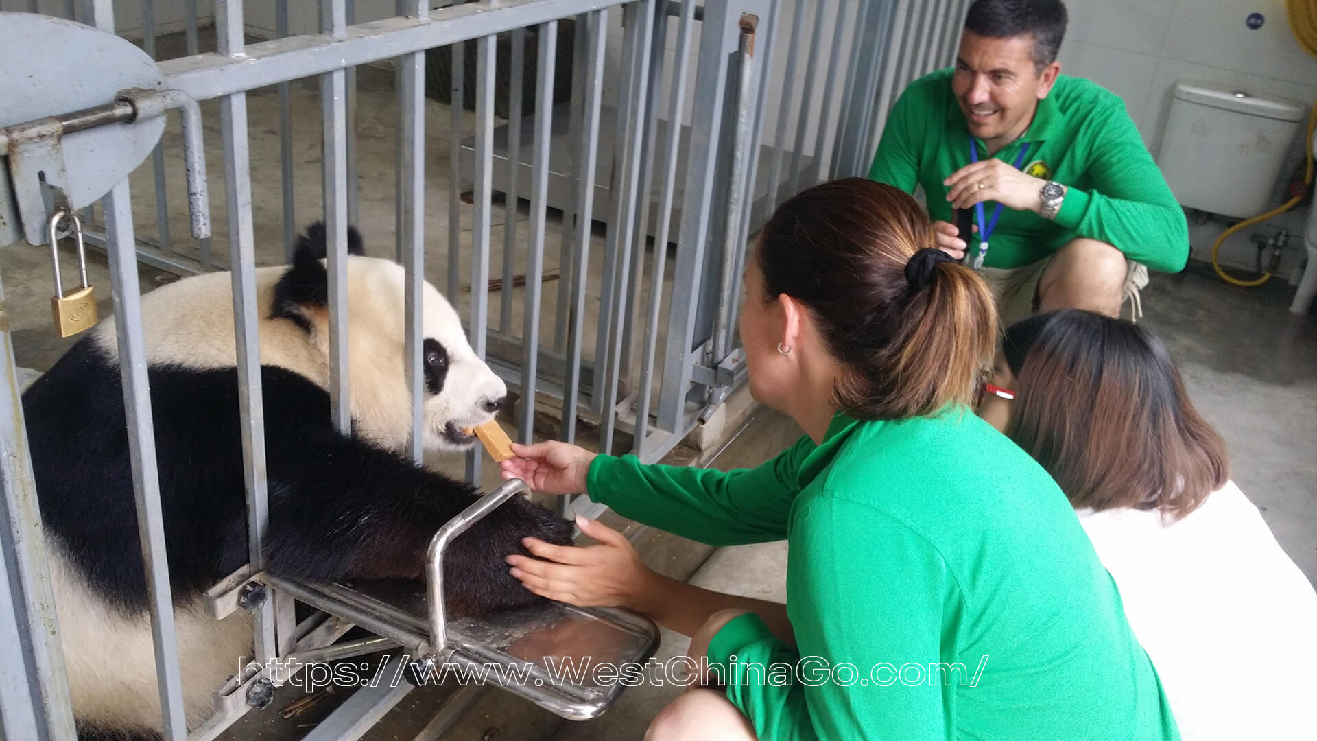 Dujiangyan Panda Volunteer
