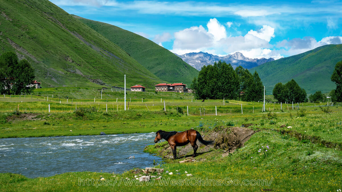 West Sichuan Tour