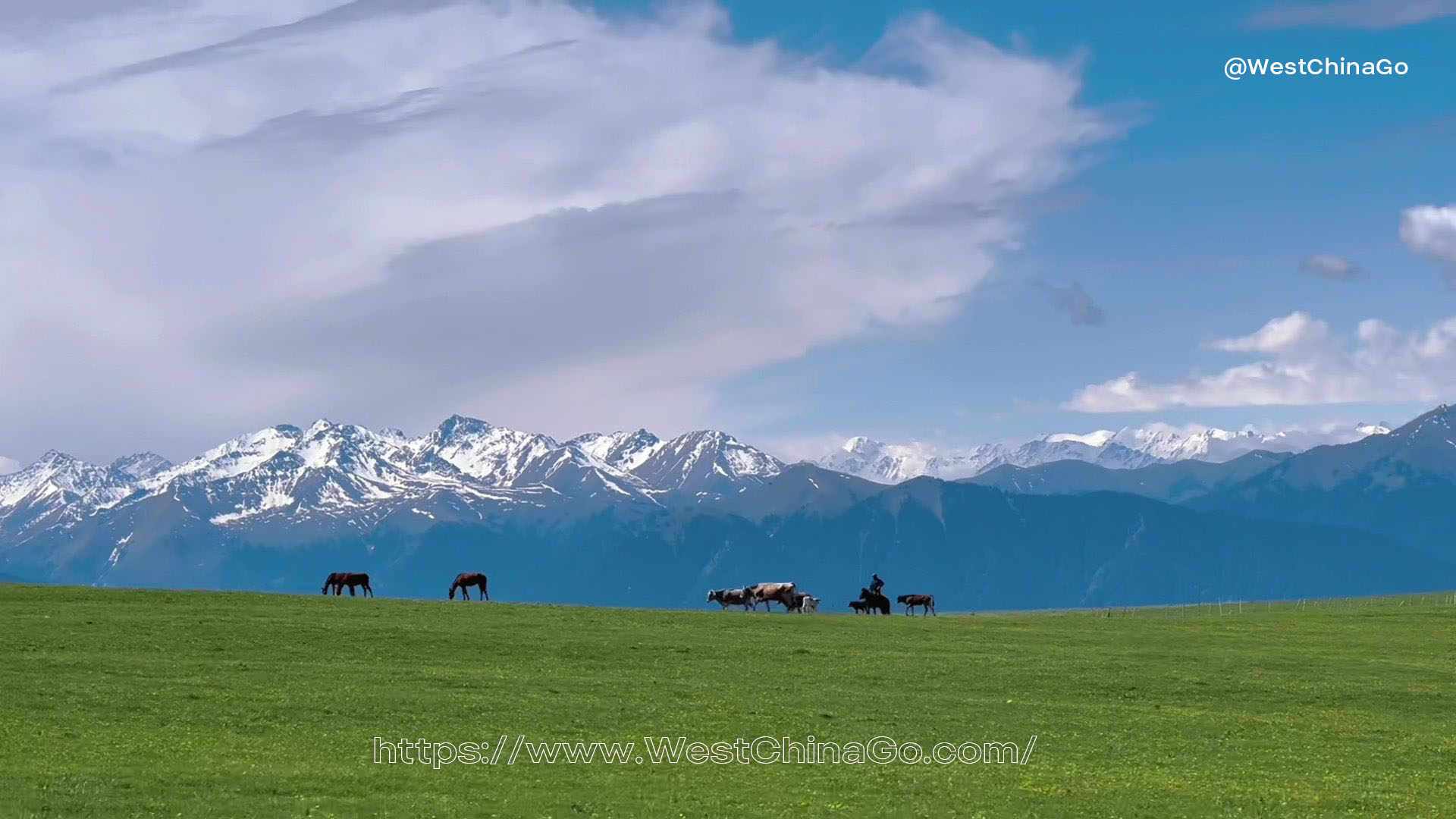 Xinjiang tour