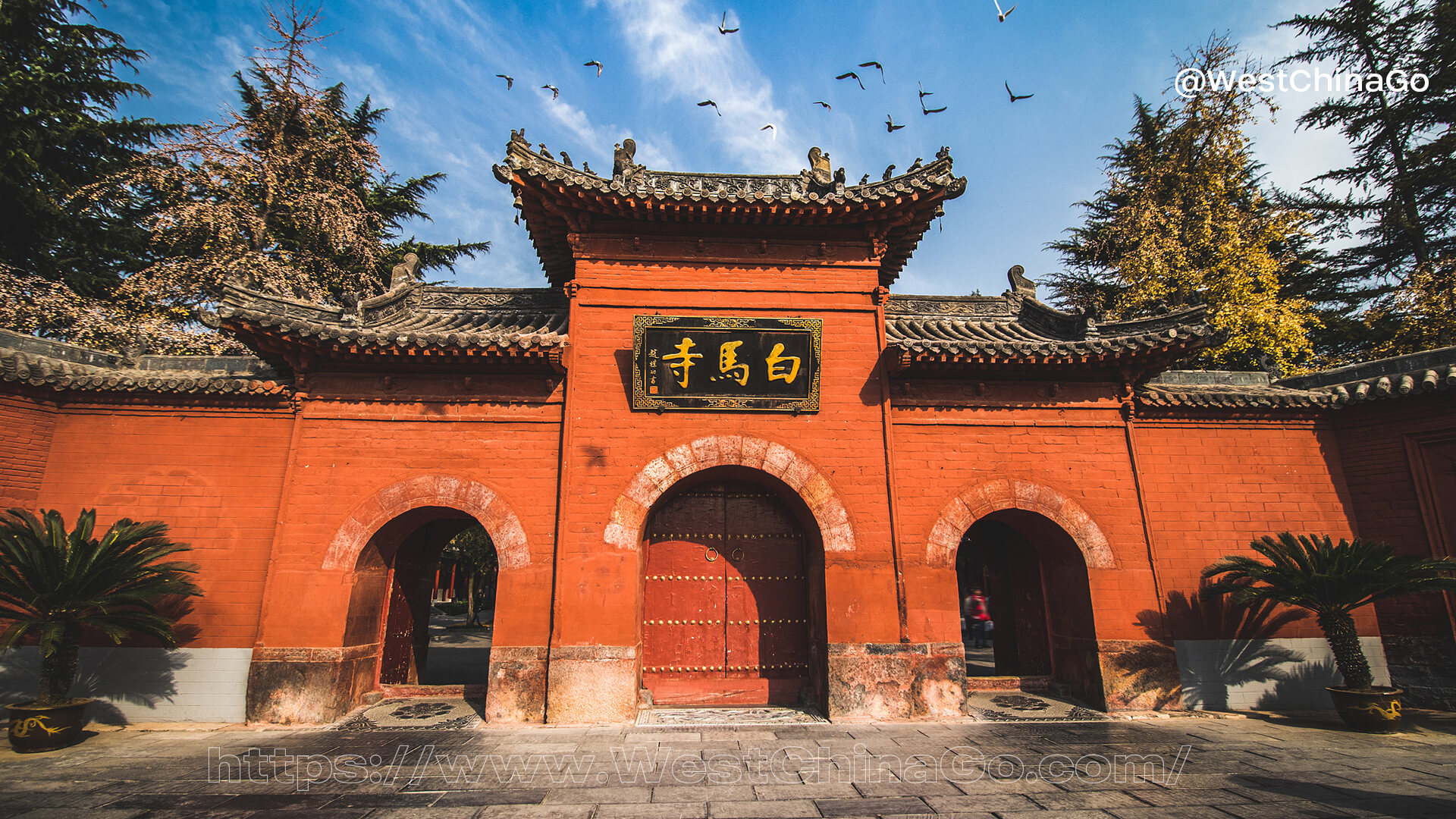 Luoyang White Horse Temple Tour