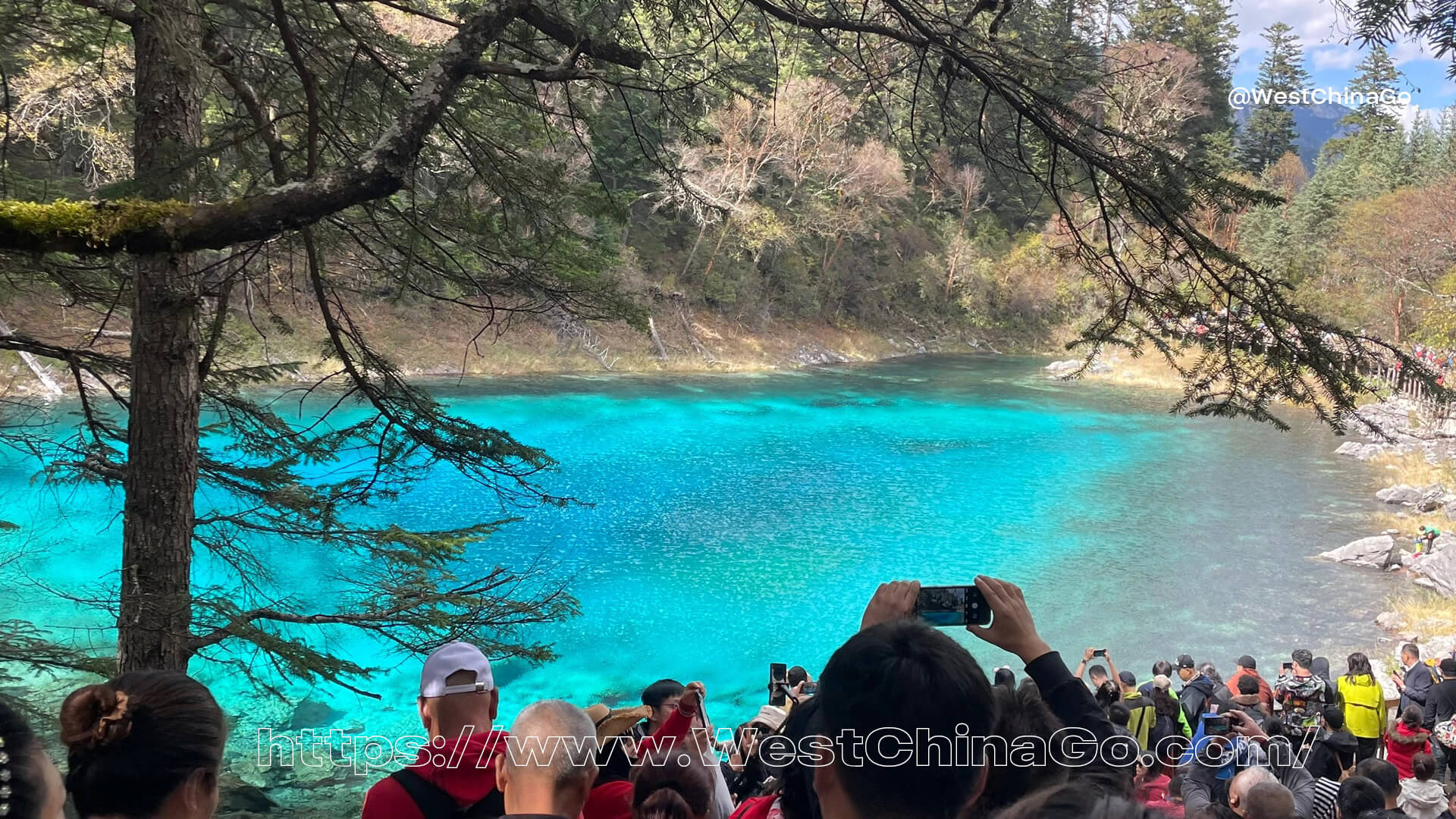 jiuzhaigou