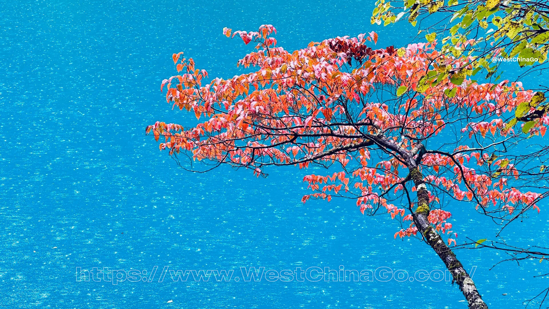 Jiuzhaigou