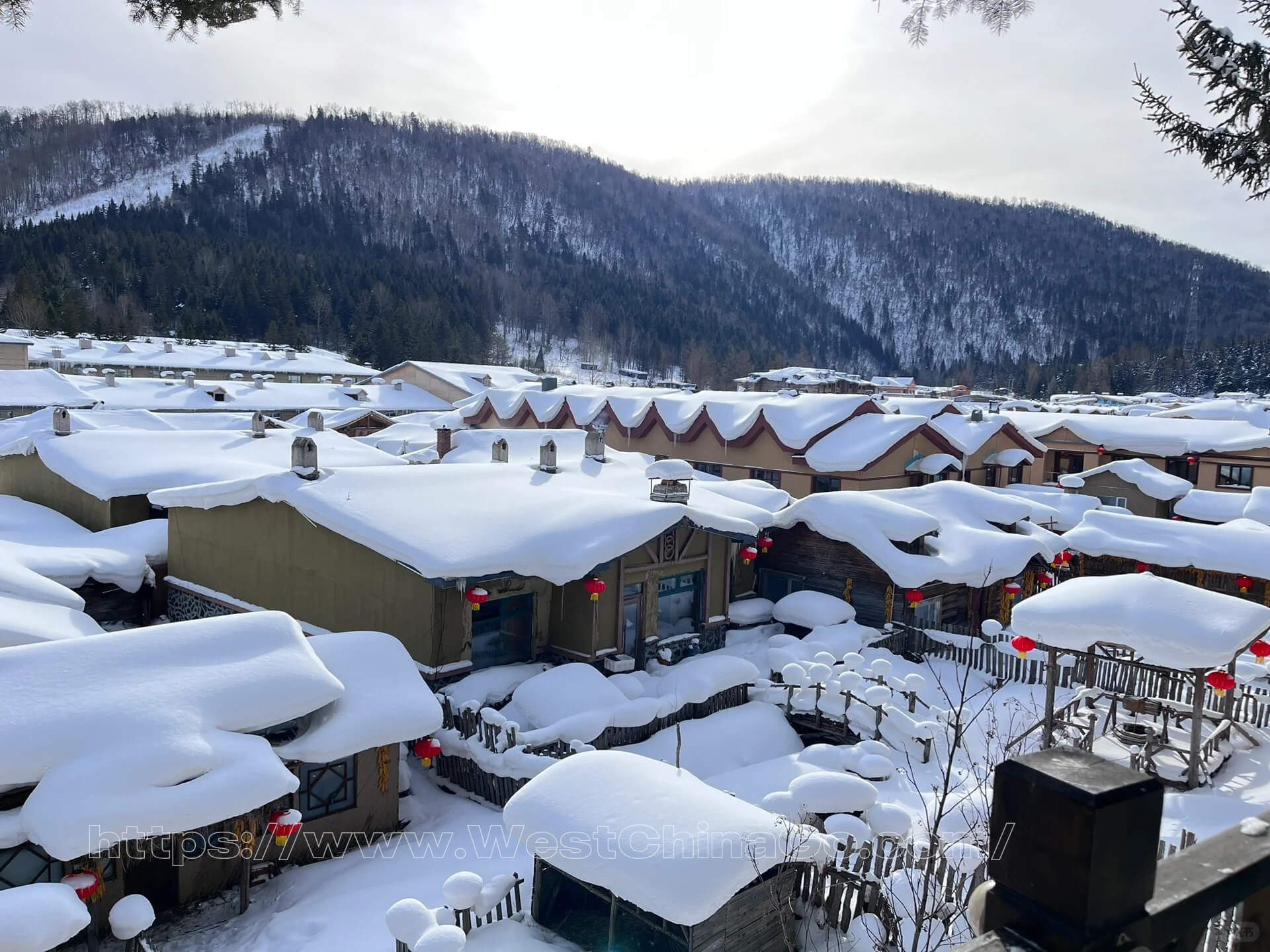 Harbin Snow Tour