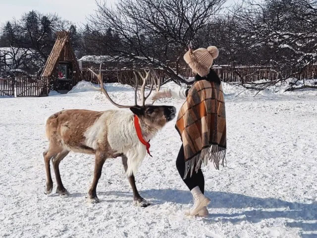 Yabuli Reindeer Park