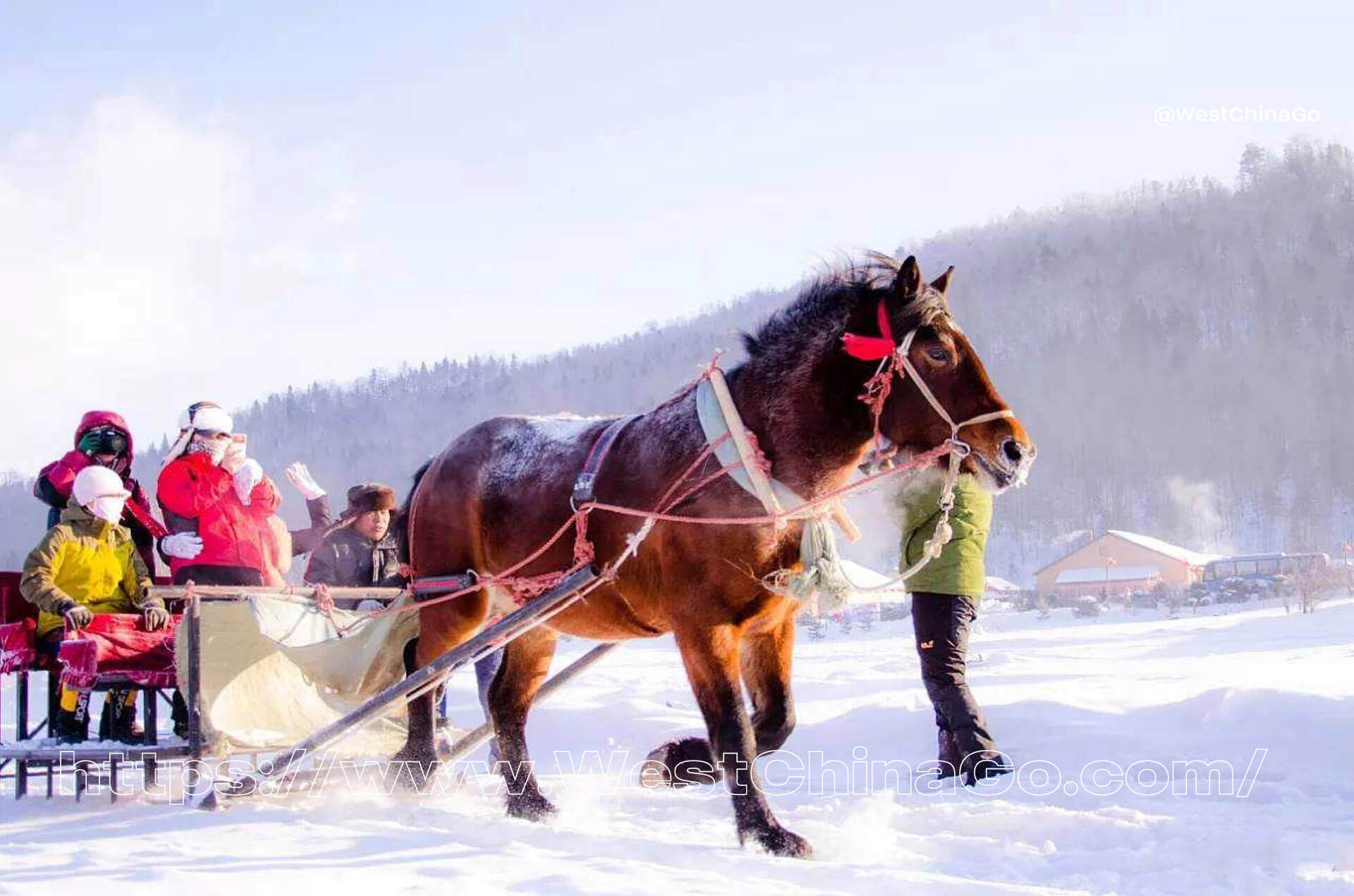 Yabuli Forest Reindeer Tribe