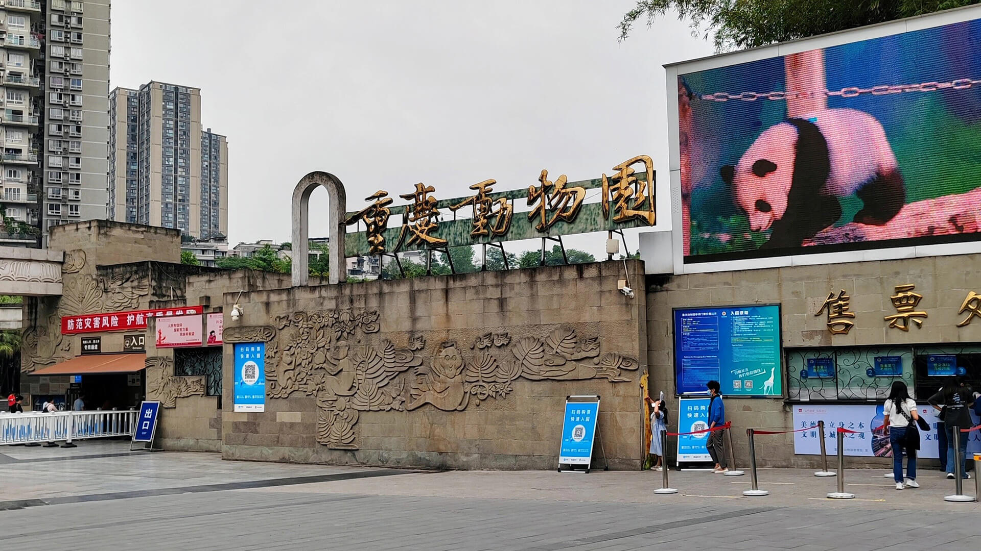 Chongqing zoo