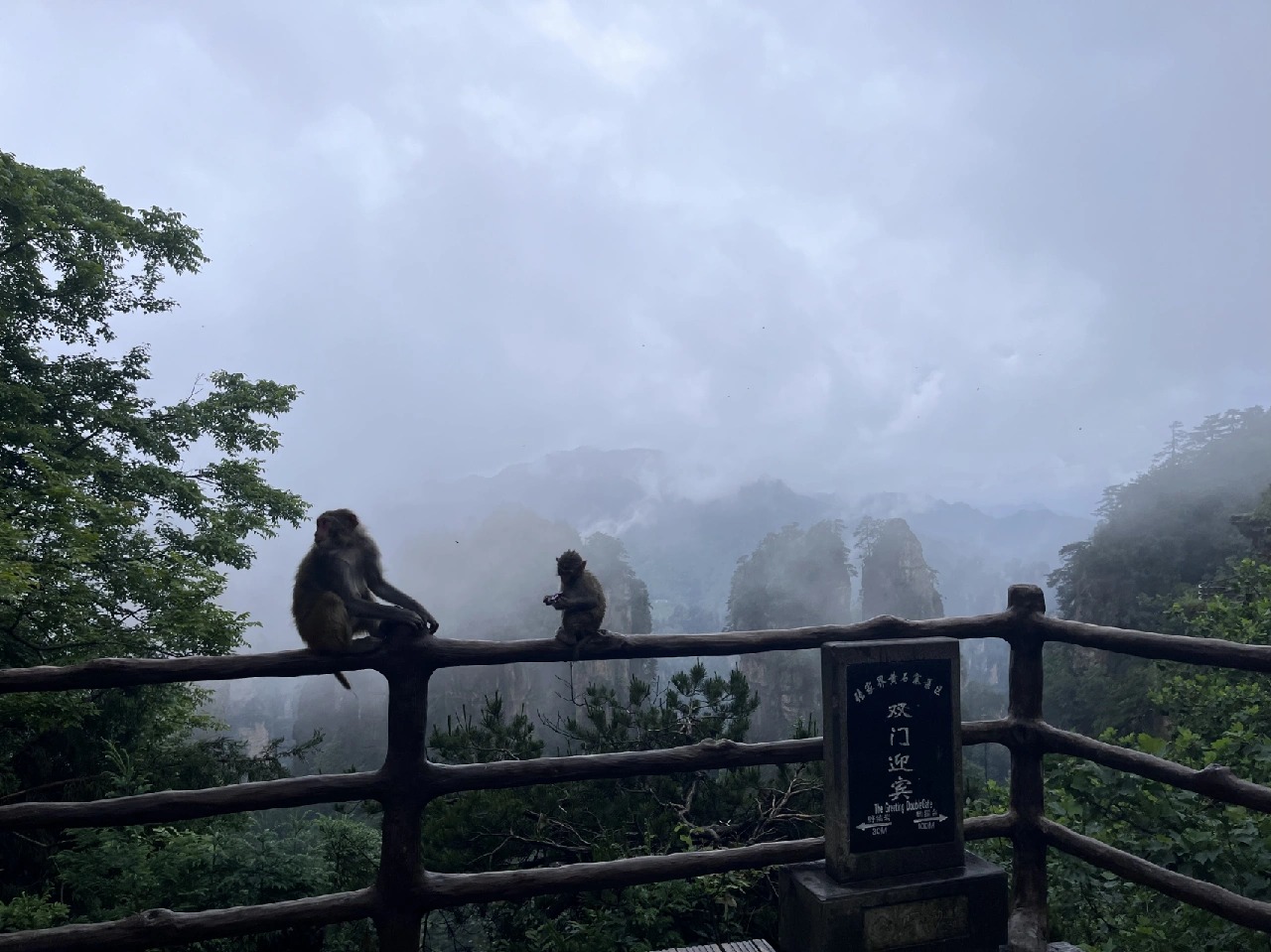 Zhangjiajie National Forest Park