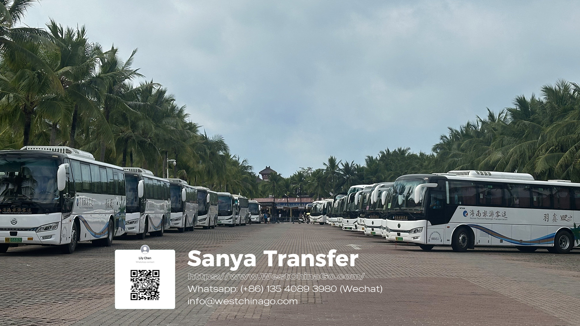 Sanya Transfer,Car Rental with Driver