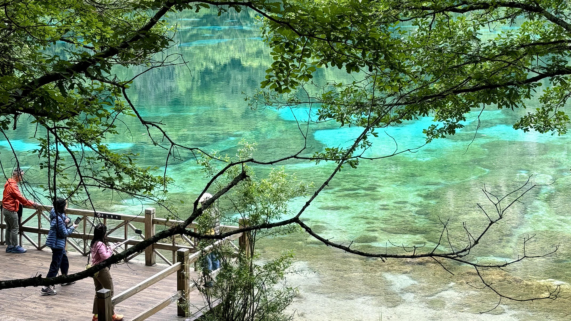 jiuzhaigou tour