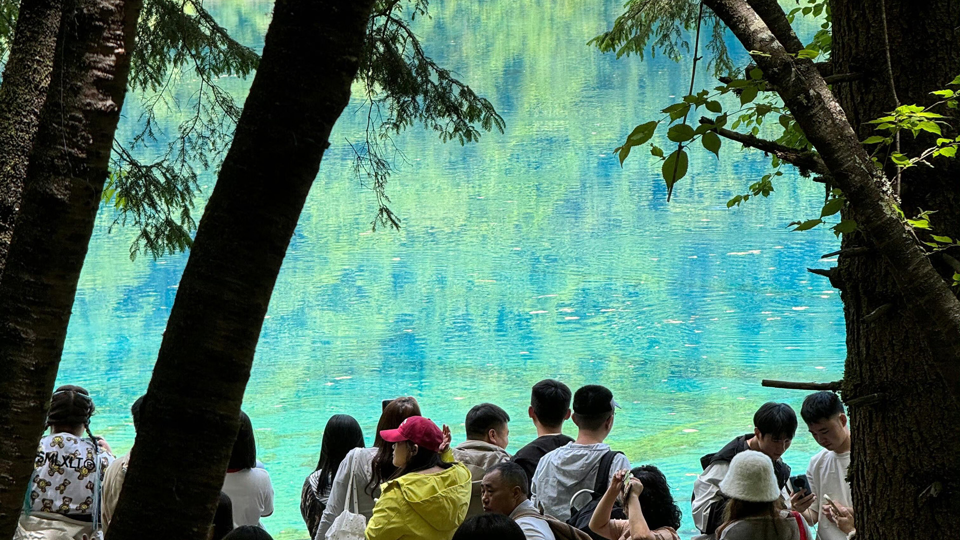 jiuzhaigou tour