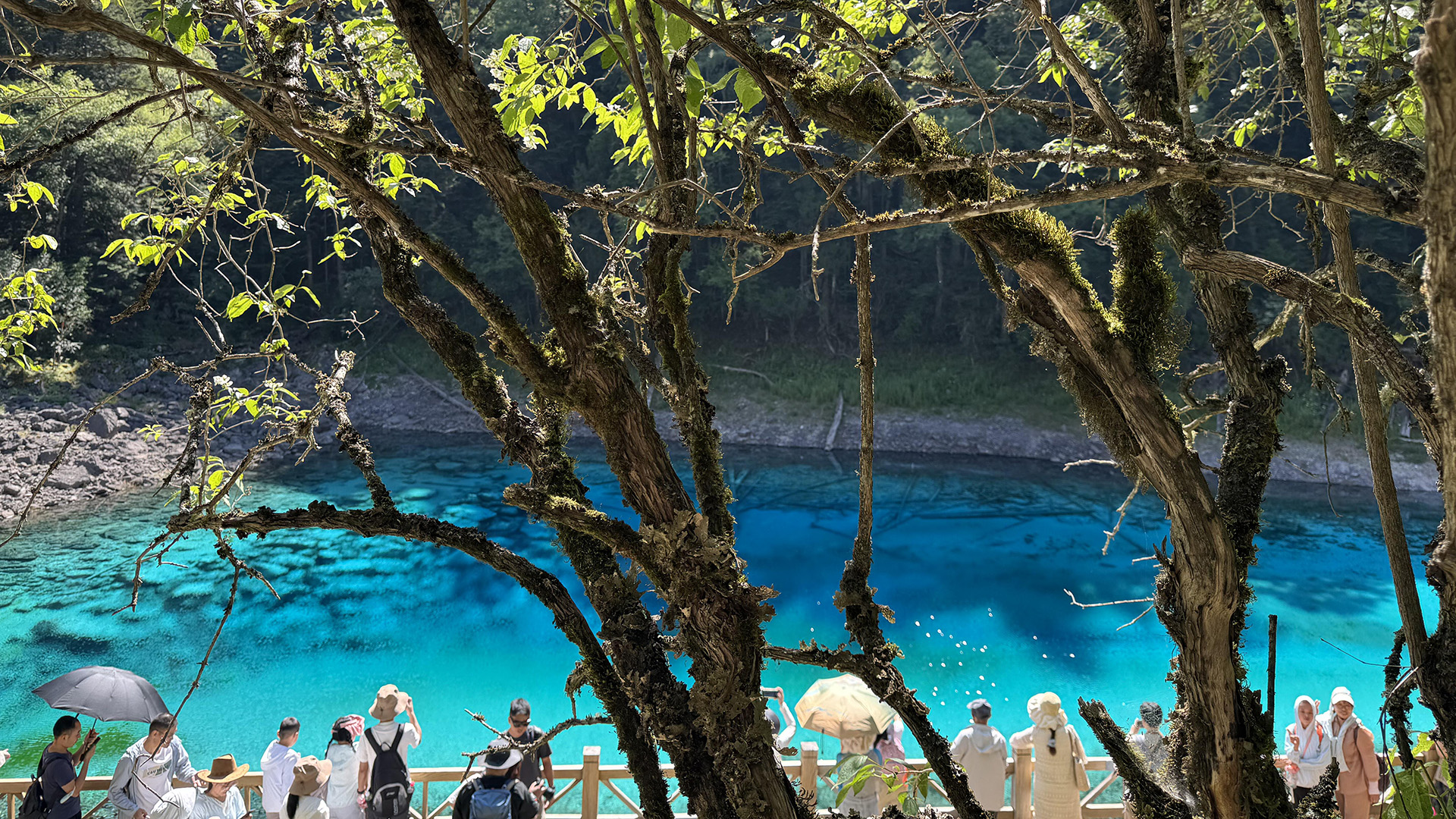 Jiuzhaigou