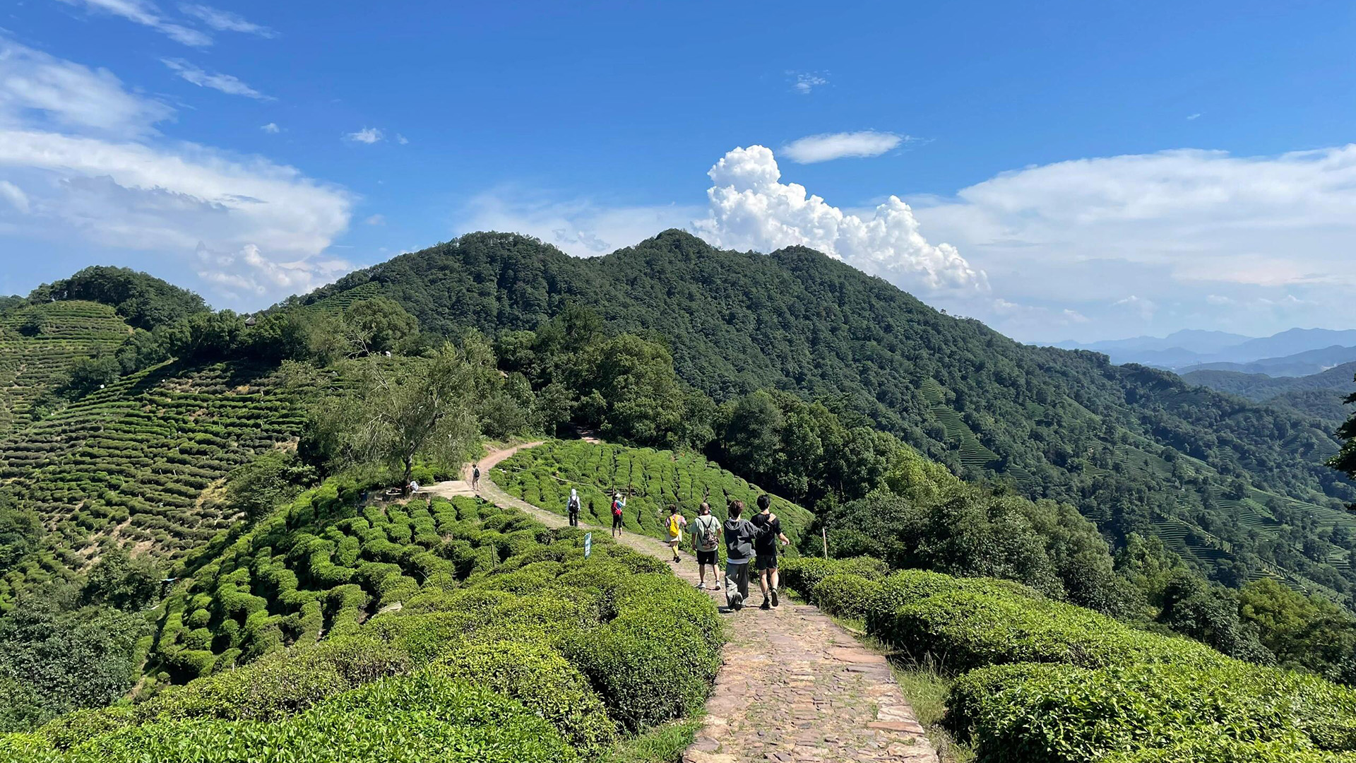 Hangzhou Tour