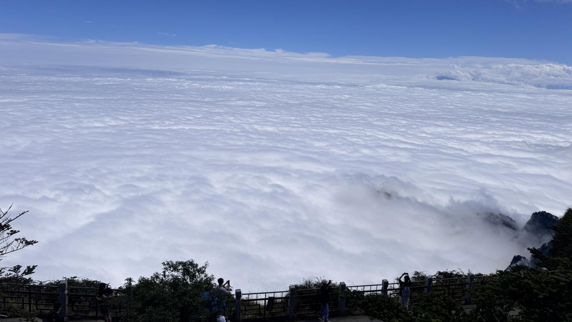 Emei Mountain Tour