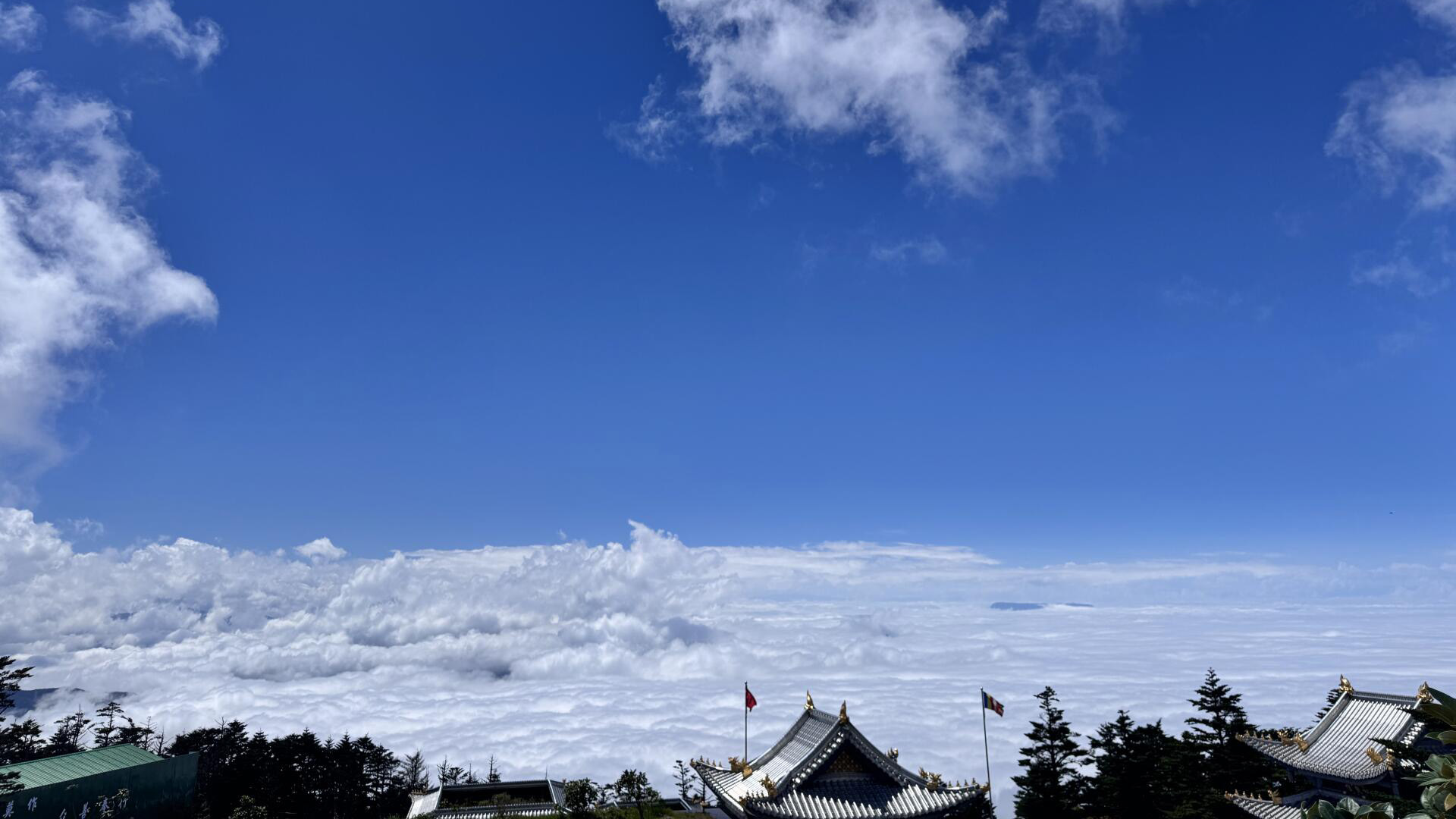 Emei Mountain Tour