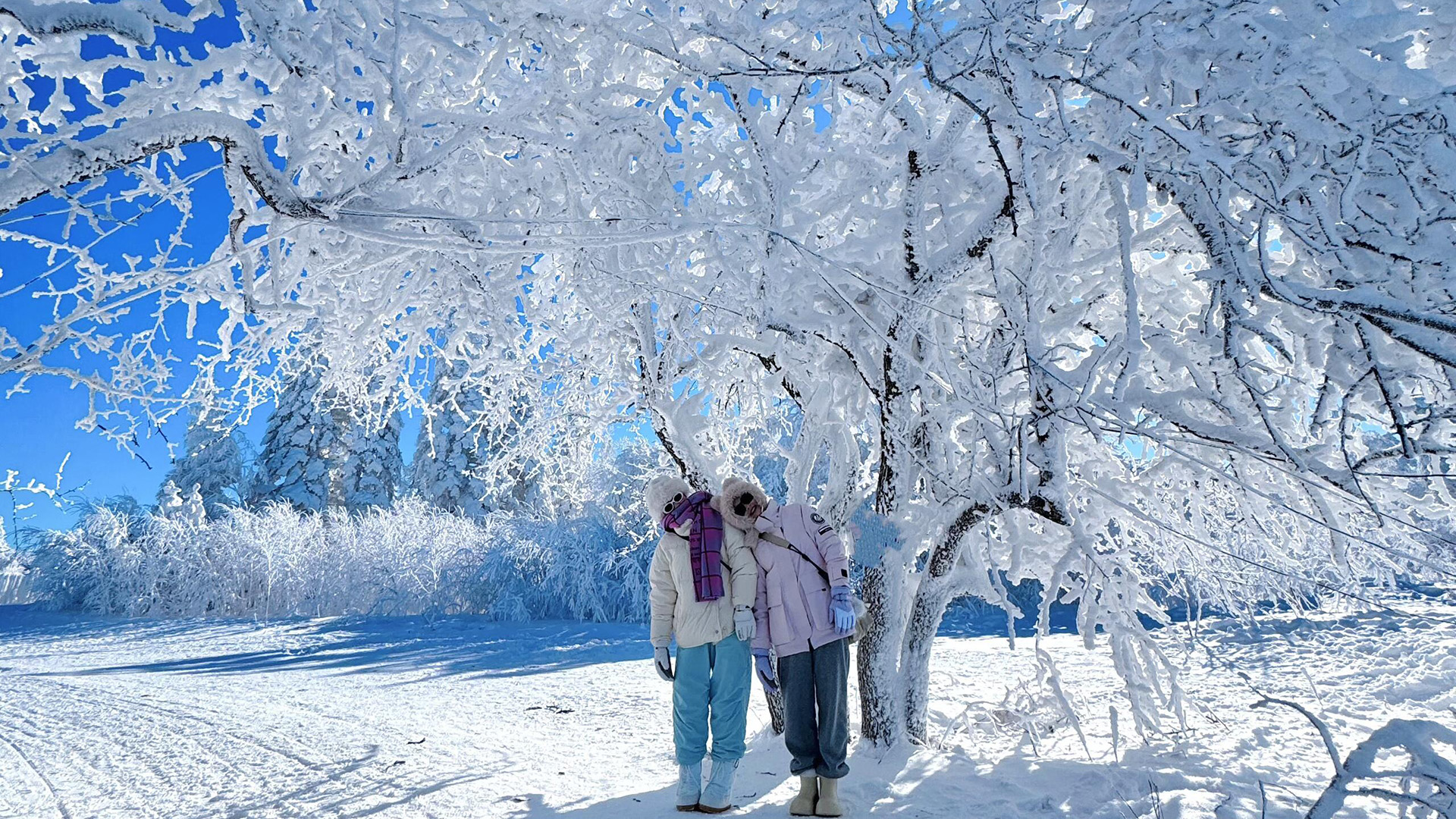 Changbaishan Mountain