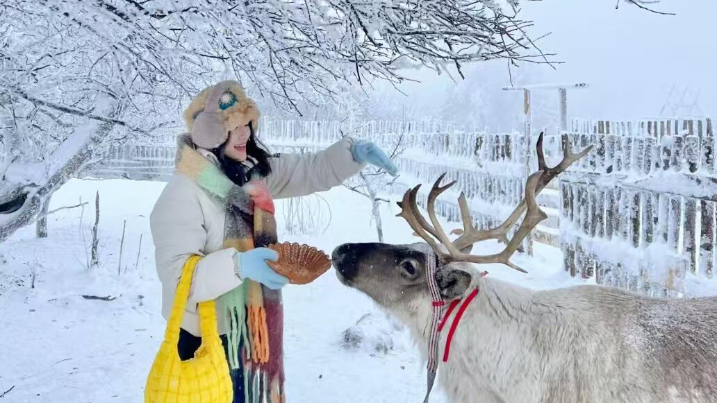 Changbaishan Mountain