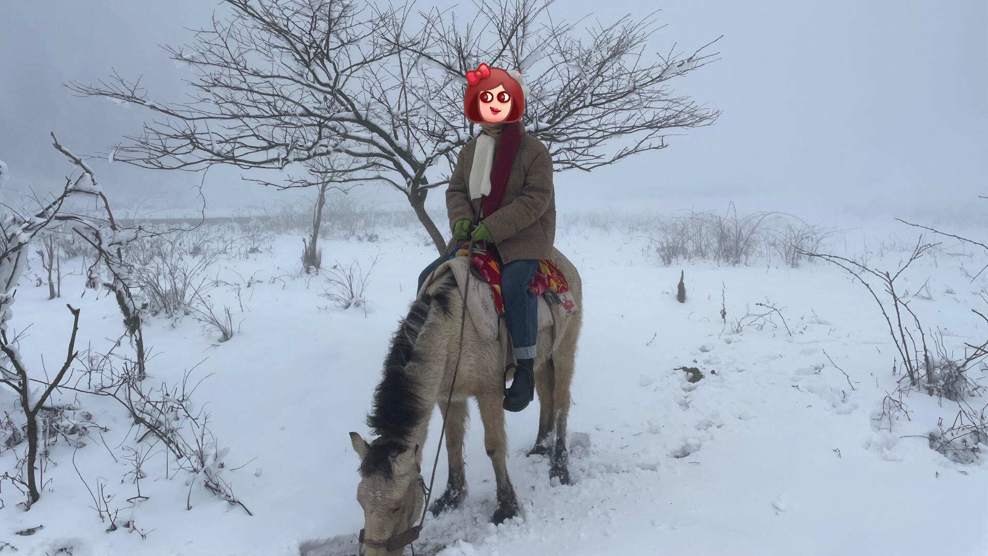 Wulong Karst Geo Park Fairy Mountain