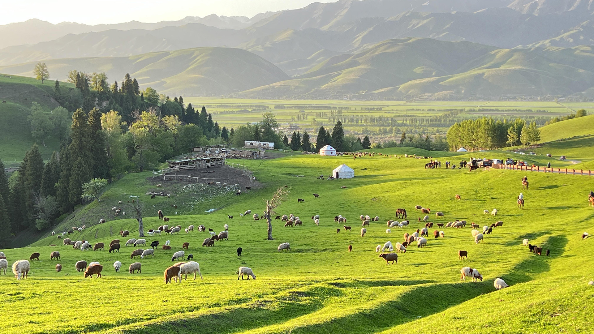 Xinjiang Nalati Grassland
