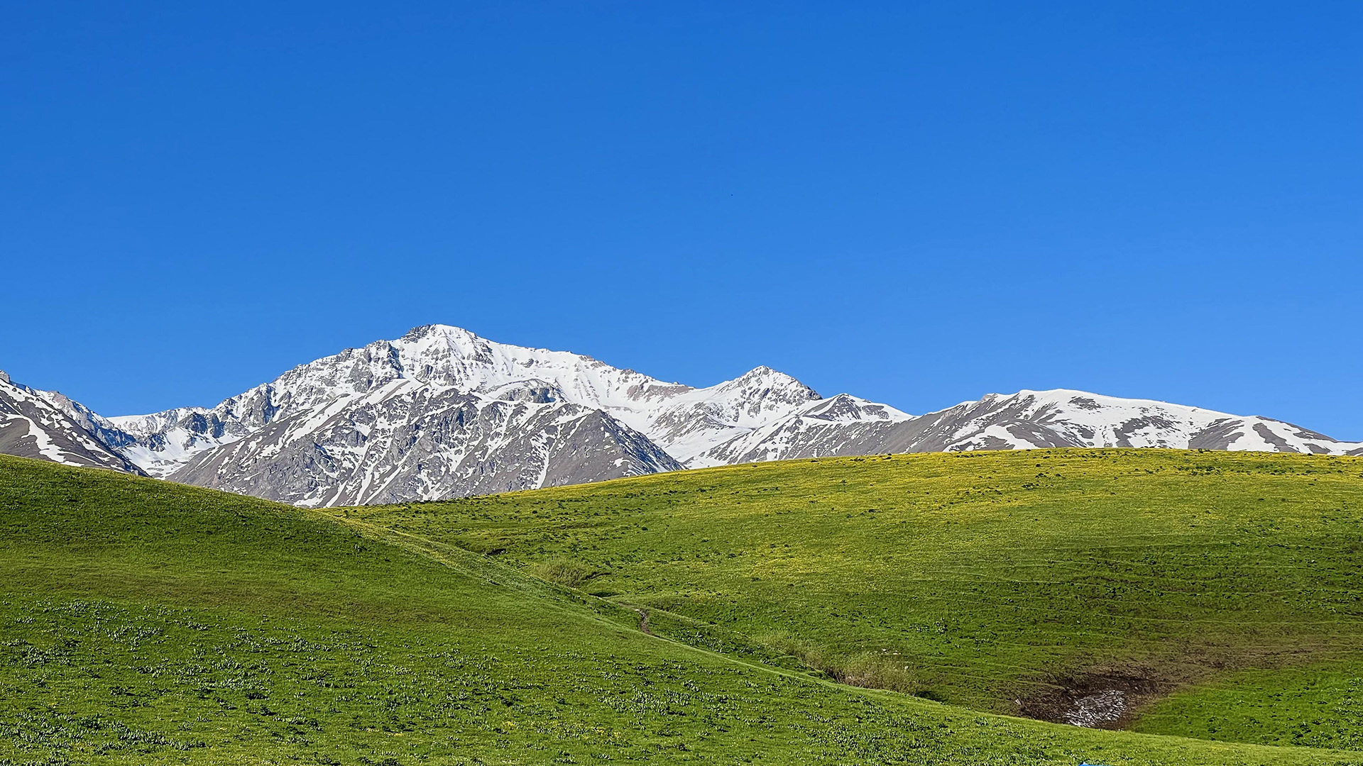 xinjiang Nalati Grassland