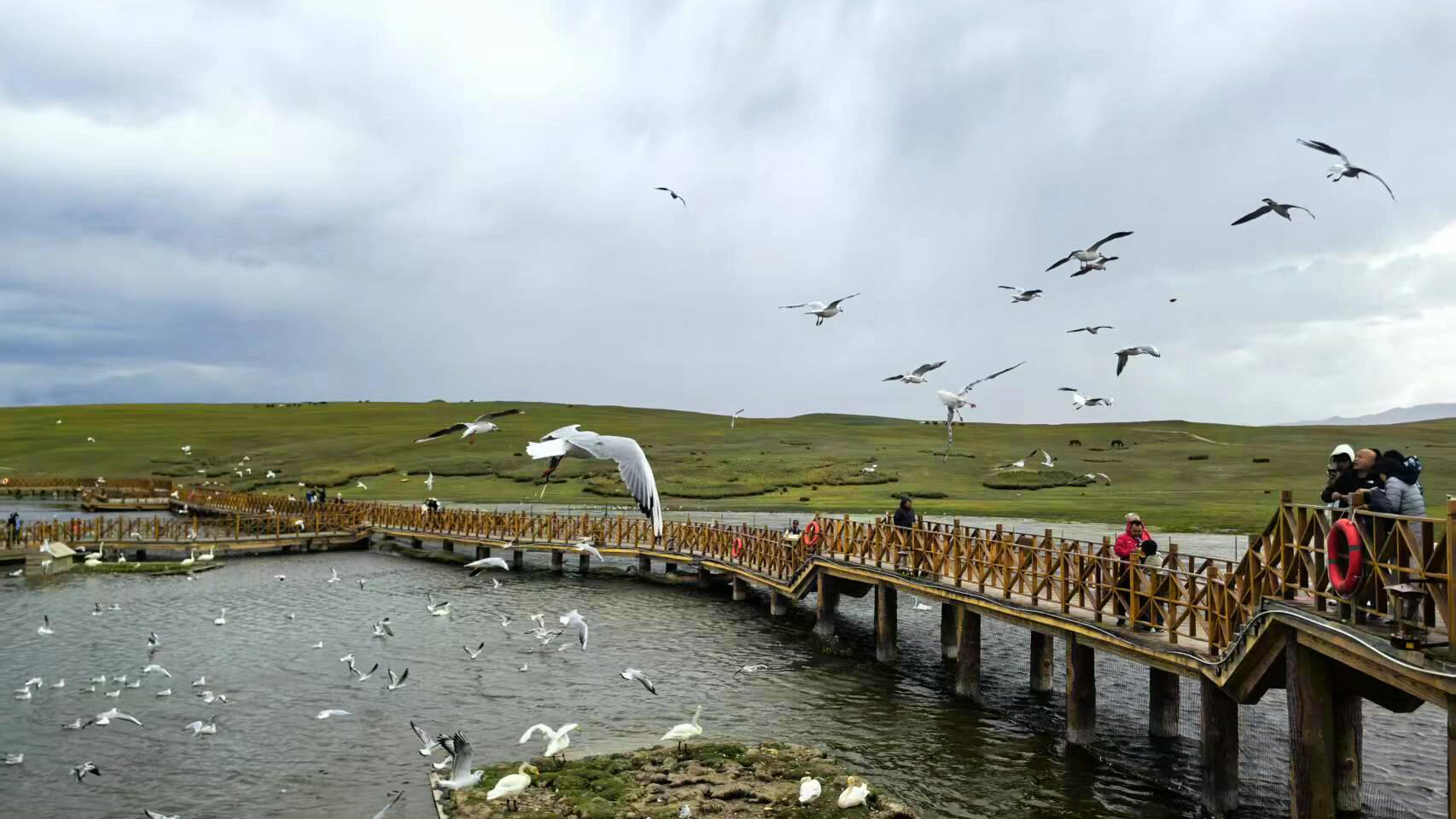 Xinjiang Bayin Buluke Pasture