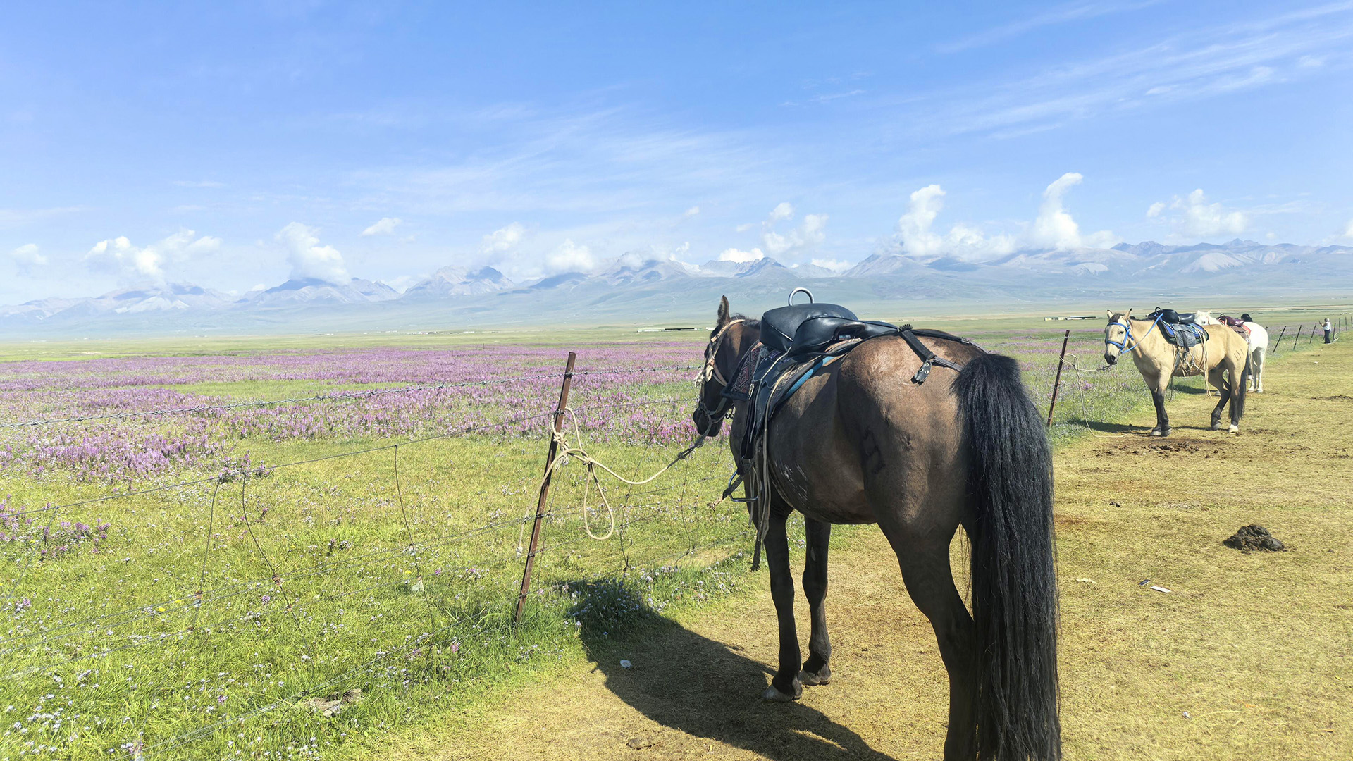 Xinjiang Bayin Buluke Pasture