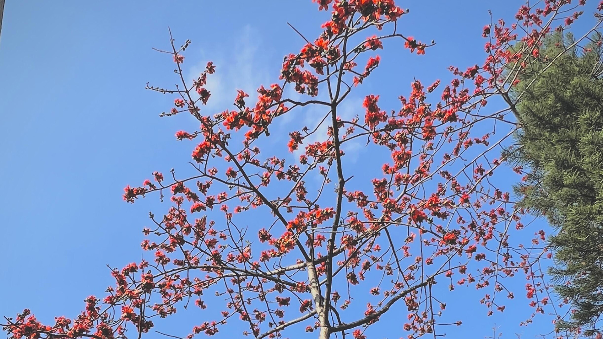 Guangzhou Dr. Sun Yat-sen's Memorial Hall
