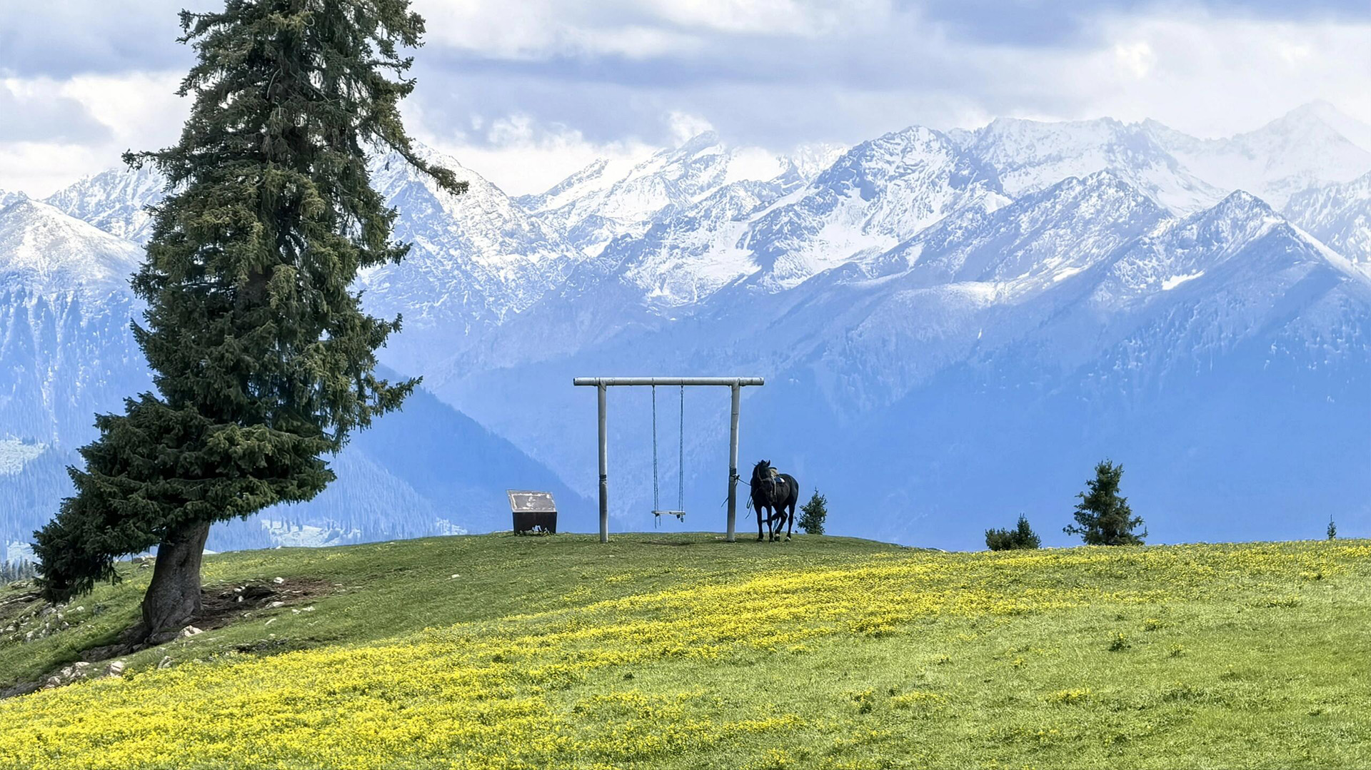 Xinjiang Kalajun Prairies