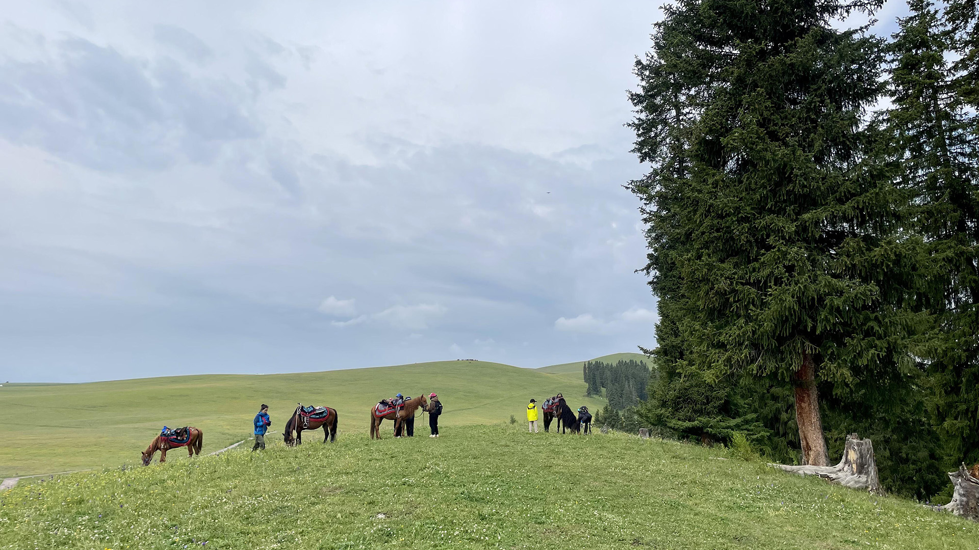 xinjiang Kalajun Prairies