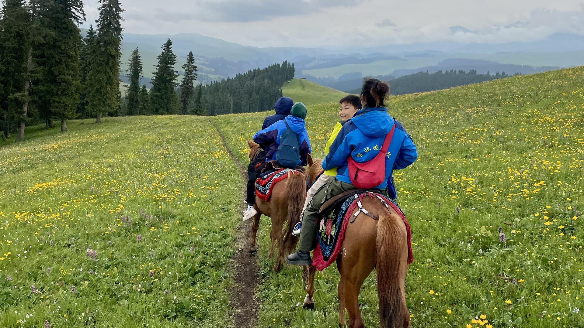 xinjiang Kalajun Prairies