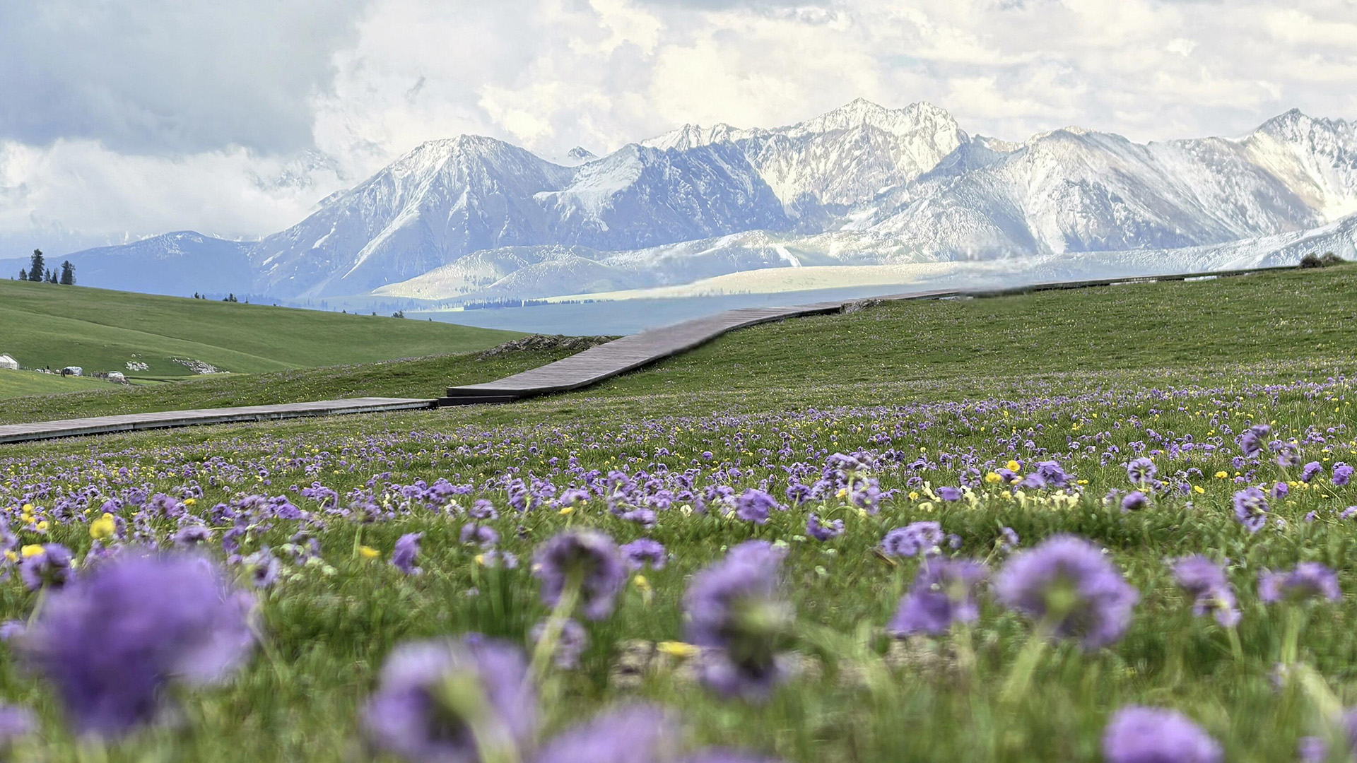 Xinjiang Kalajun Prairies
