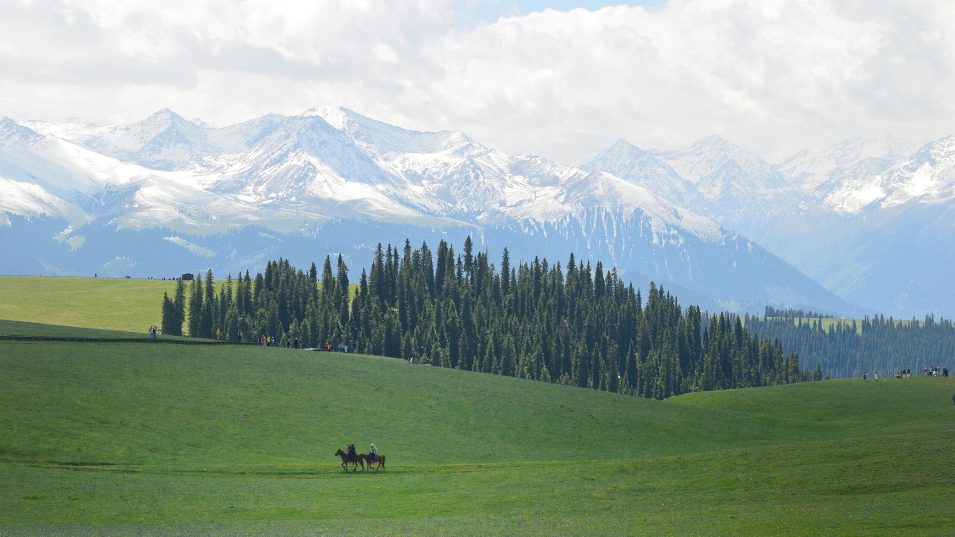 xinjiang Kalajun Prairies