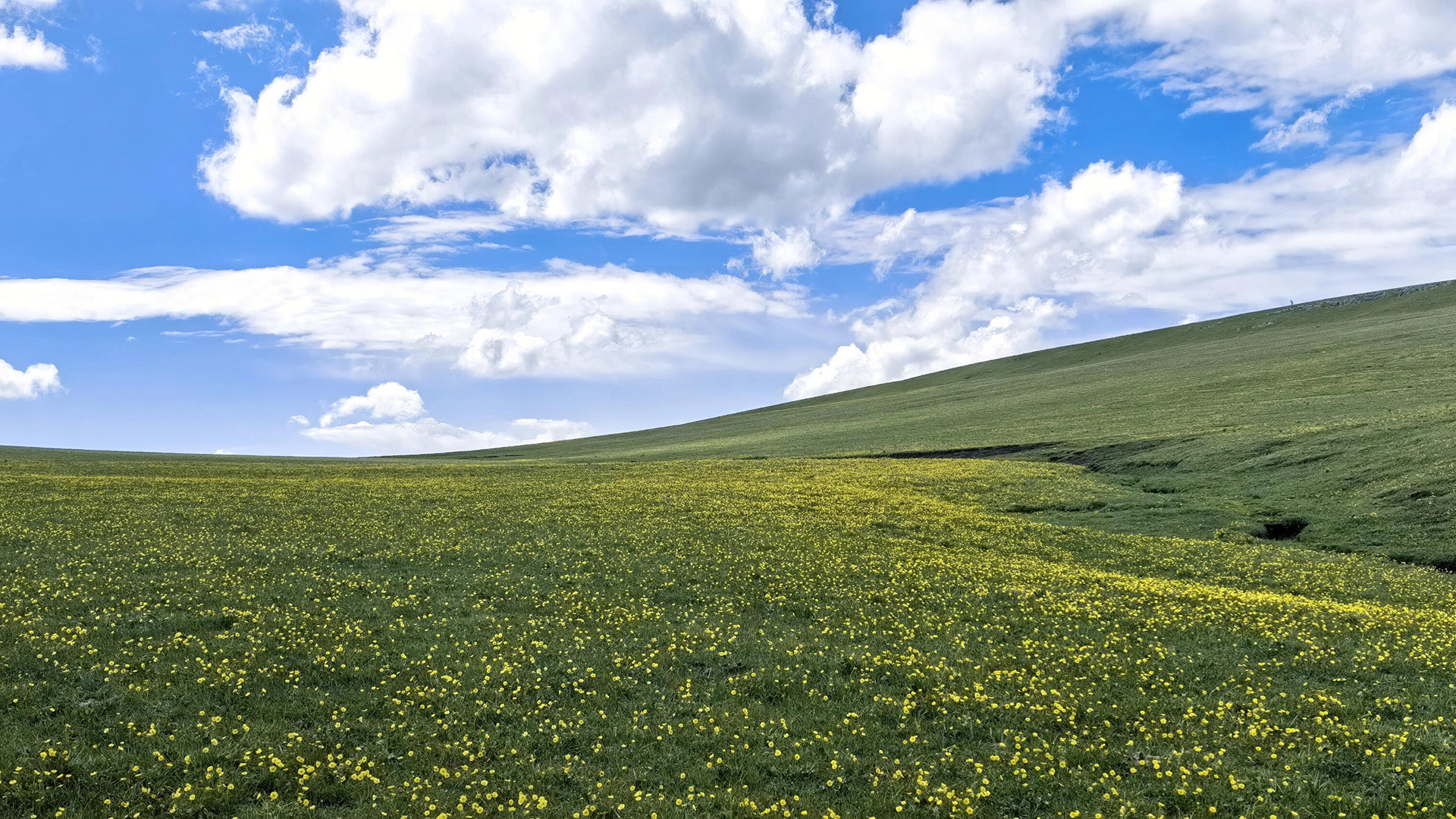xinjiang Kalajun Prairies