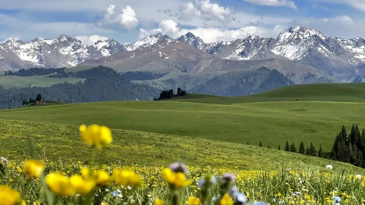 xinjiang Kalajun Prairies