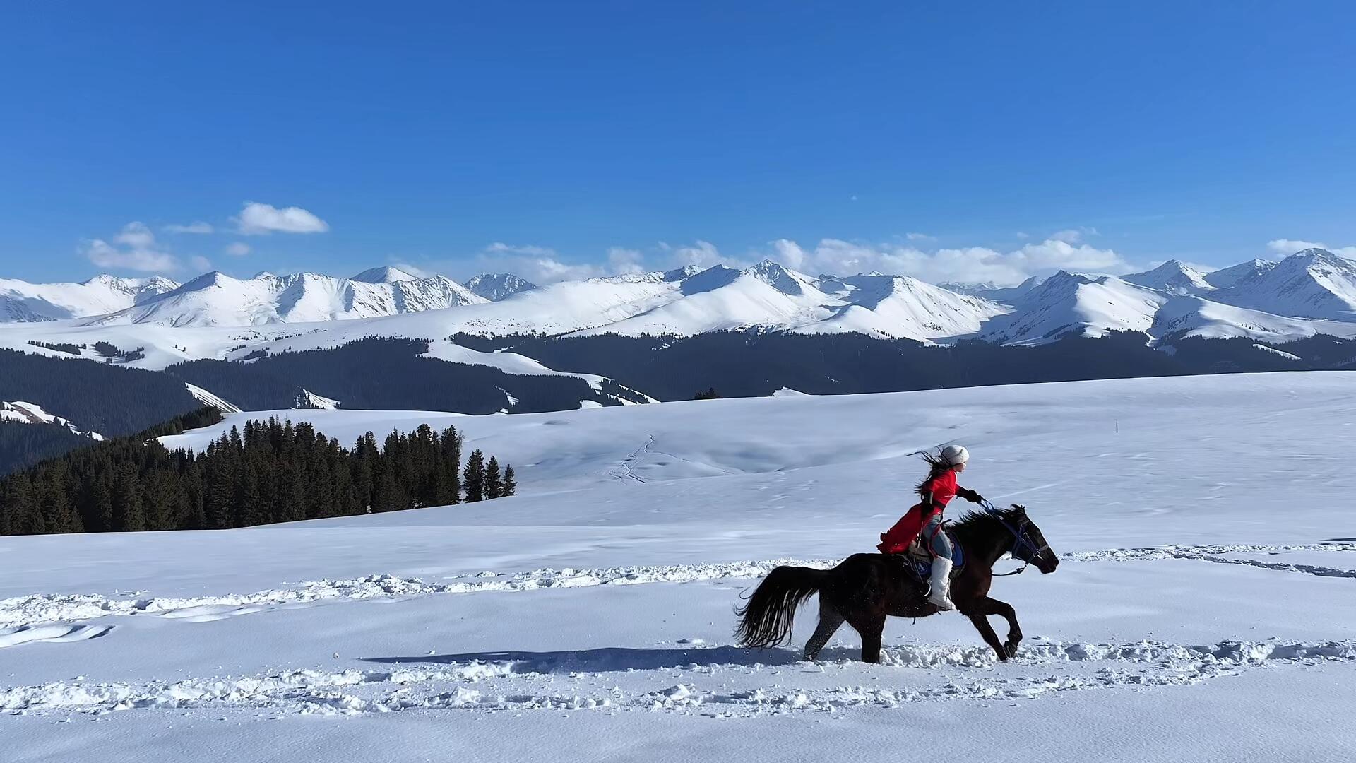 Xinjiang Nalati Grassland