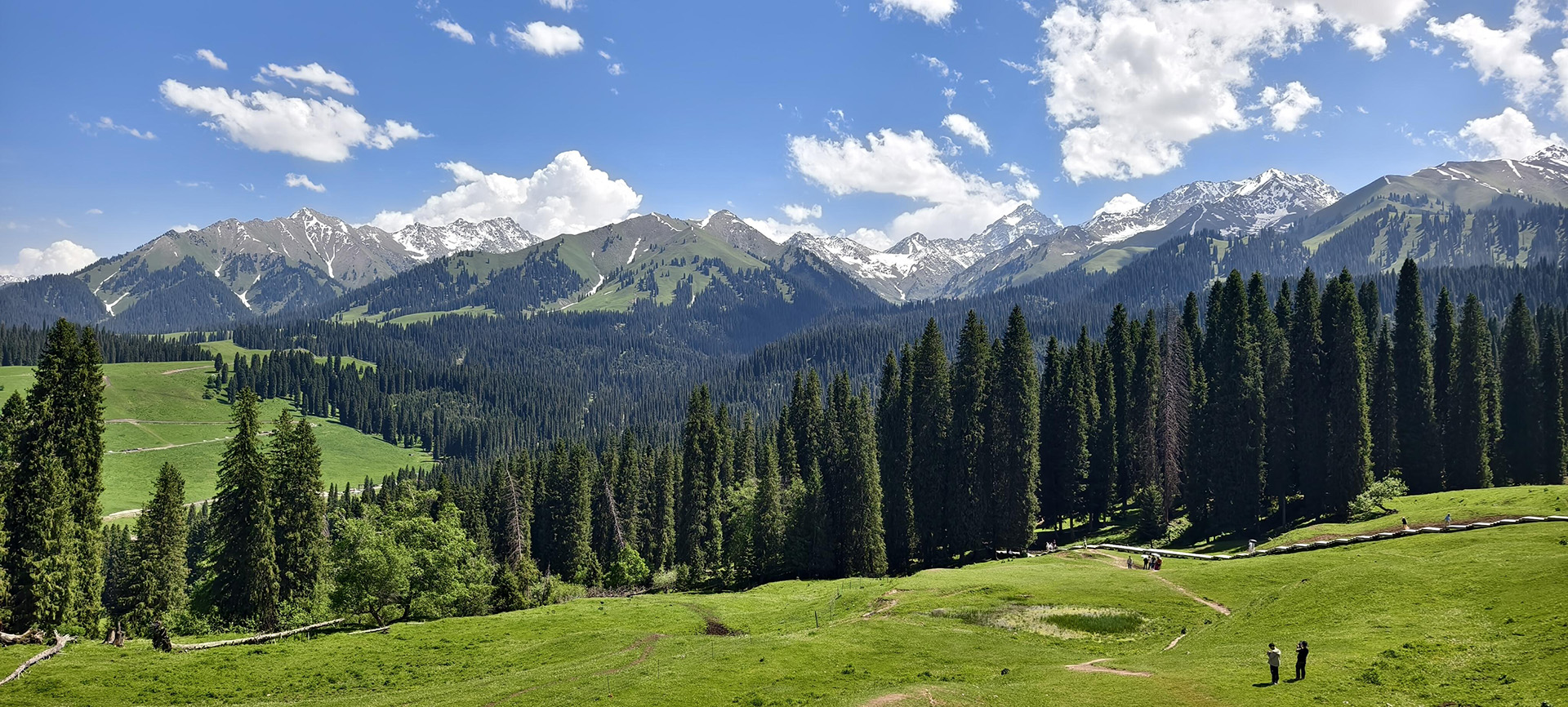 Xinjiang Ku'erdening Nature Reserve