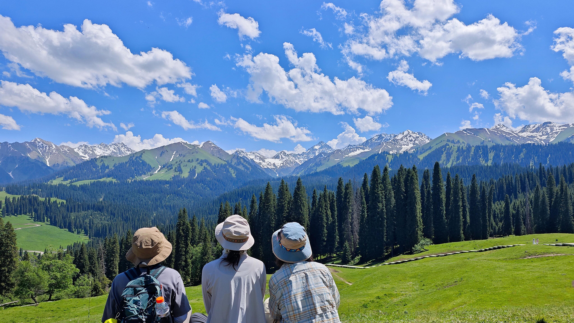 Xinjiang Ku'erdening Nature Reserve
