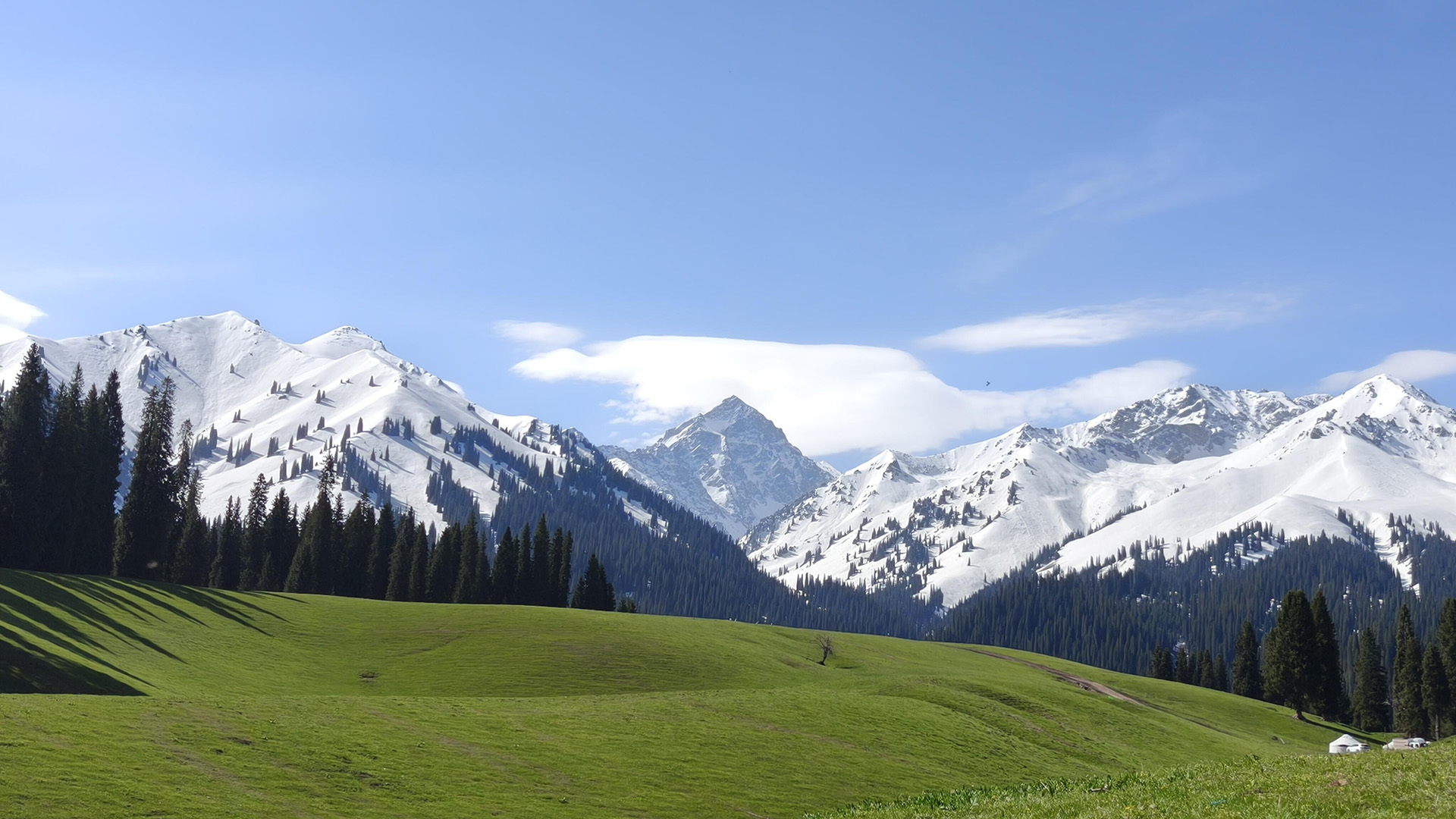 Xinjiang Ku'erdening