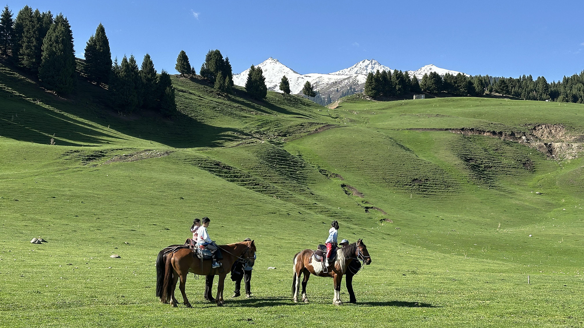 Xinjiang Ili Qiongkushitai