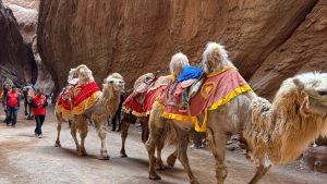 Xinjiang Tianshan Mysterious Grand Canyon