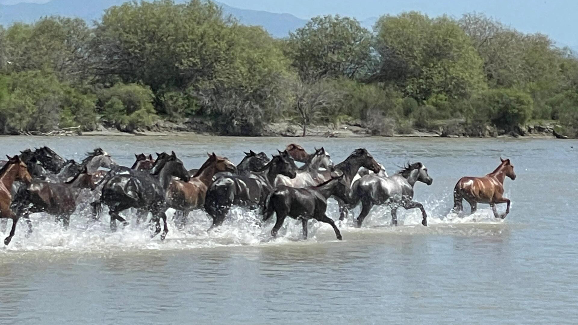 Xinjiang Zhaosu Wetland Park