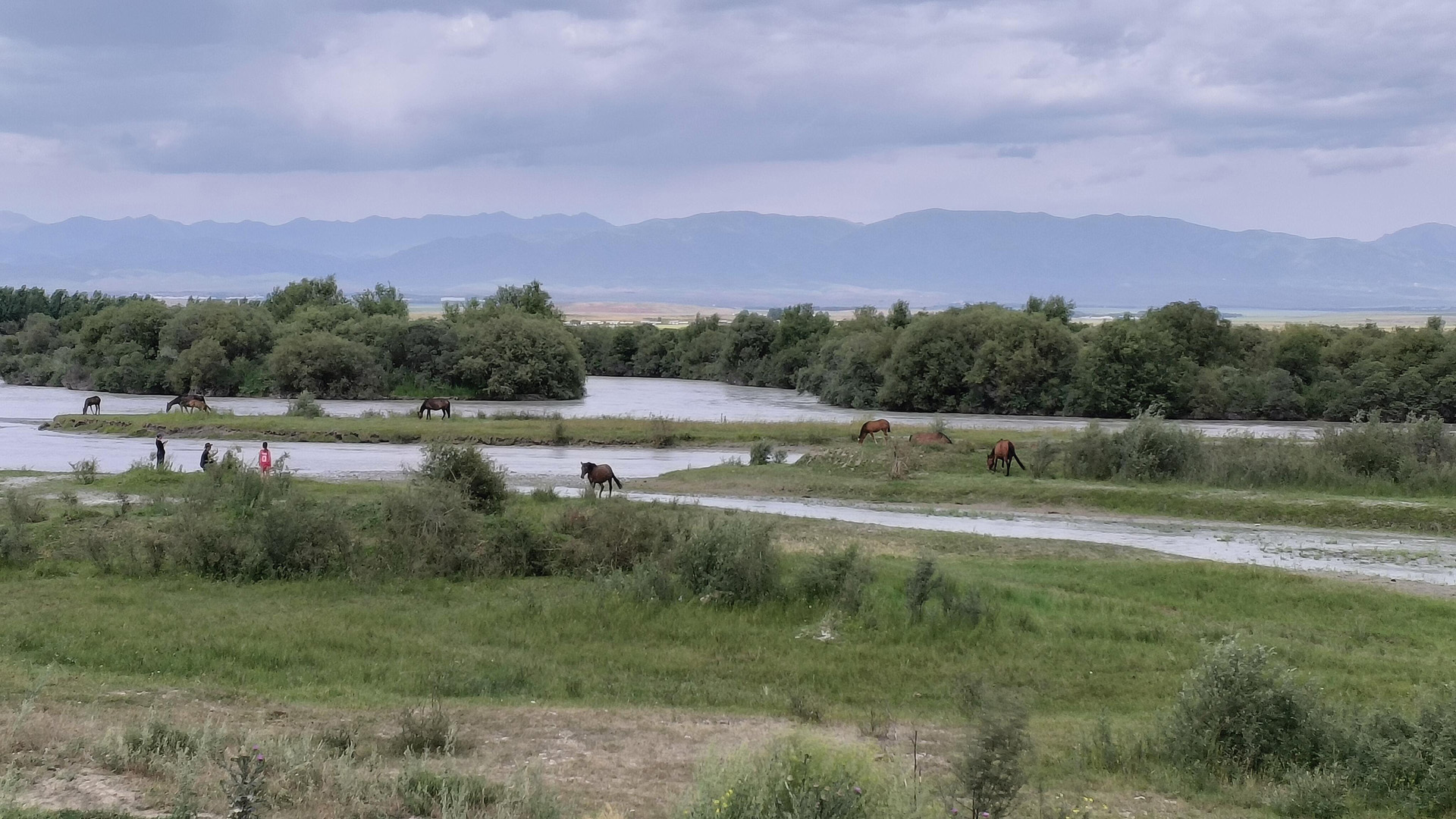 Xinjiang Zhaosu Wetland Park