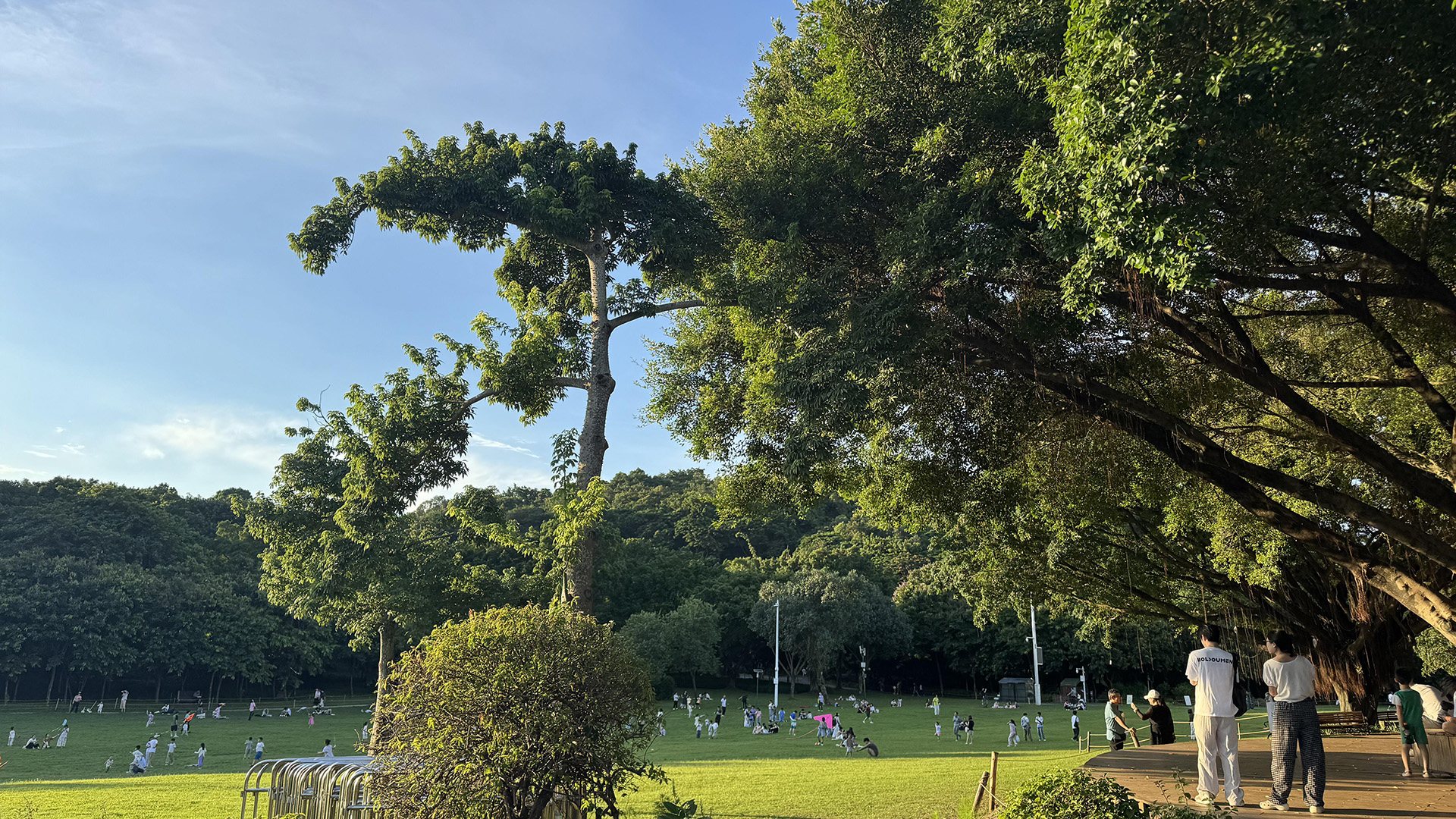 Shenzhen Lianhuashan Park