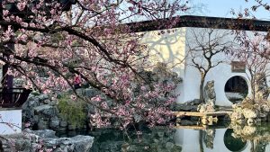 Suzhou Yipu Garden